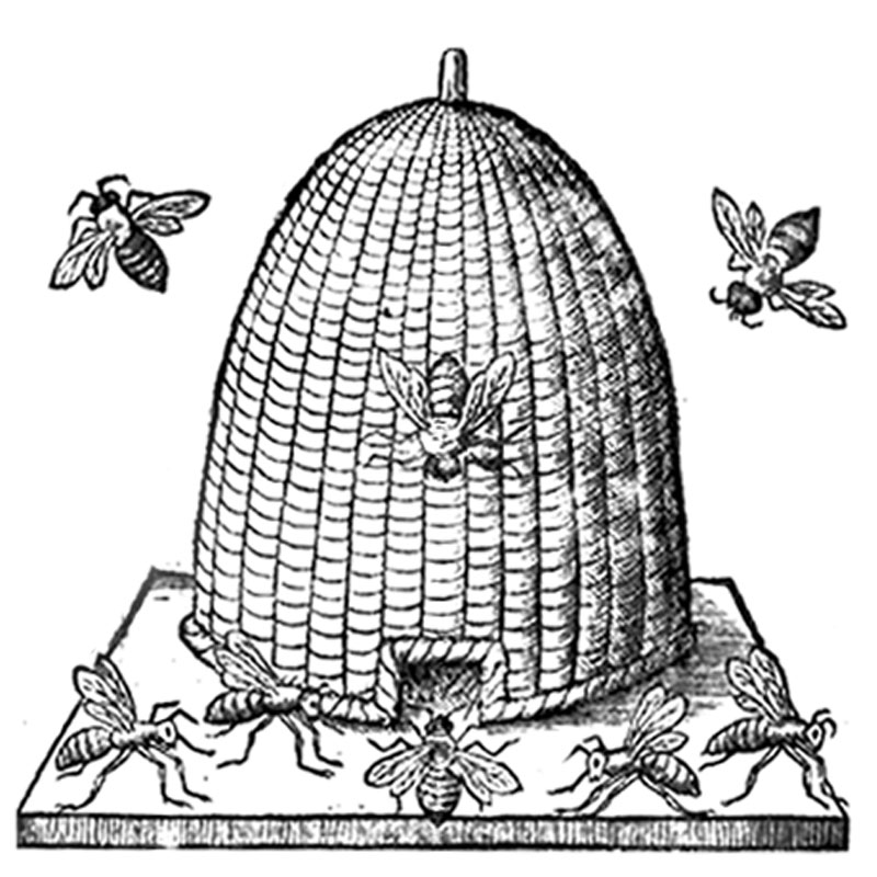 #2345 - Bee Skep - Nature